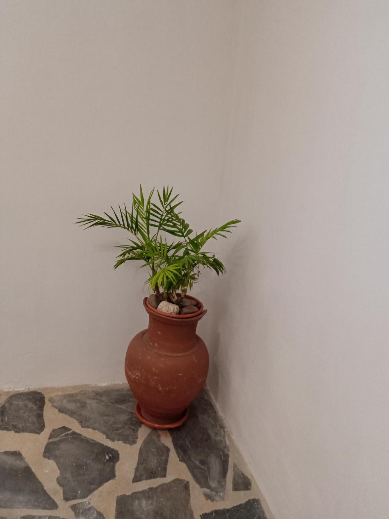 Villa Quintinha Dos Pombinhos Montoito Esterno foto