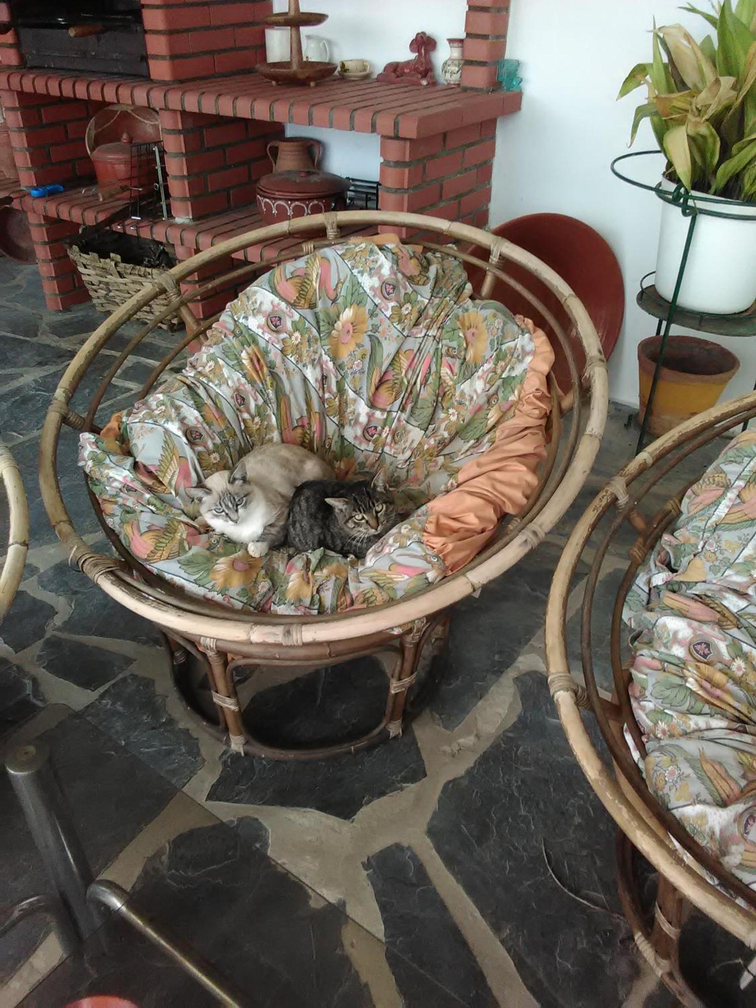 Villa Quintinha Dos Pombinhos Montoito Esterno foto