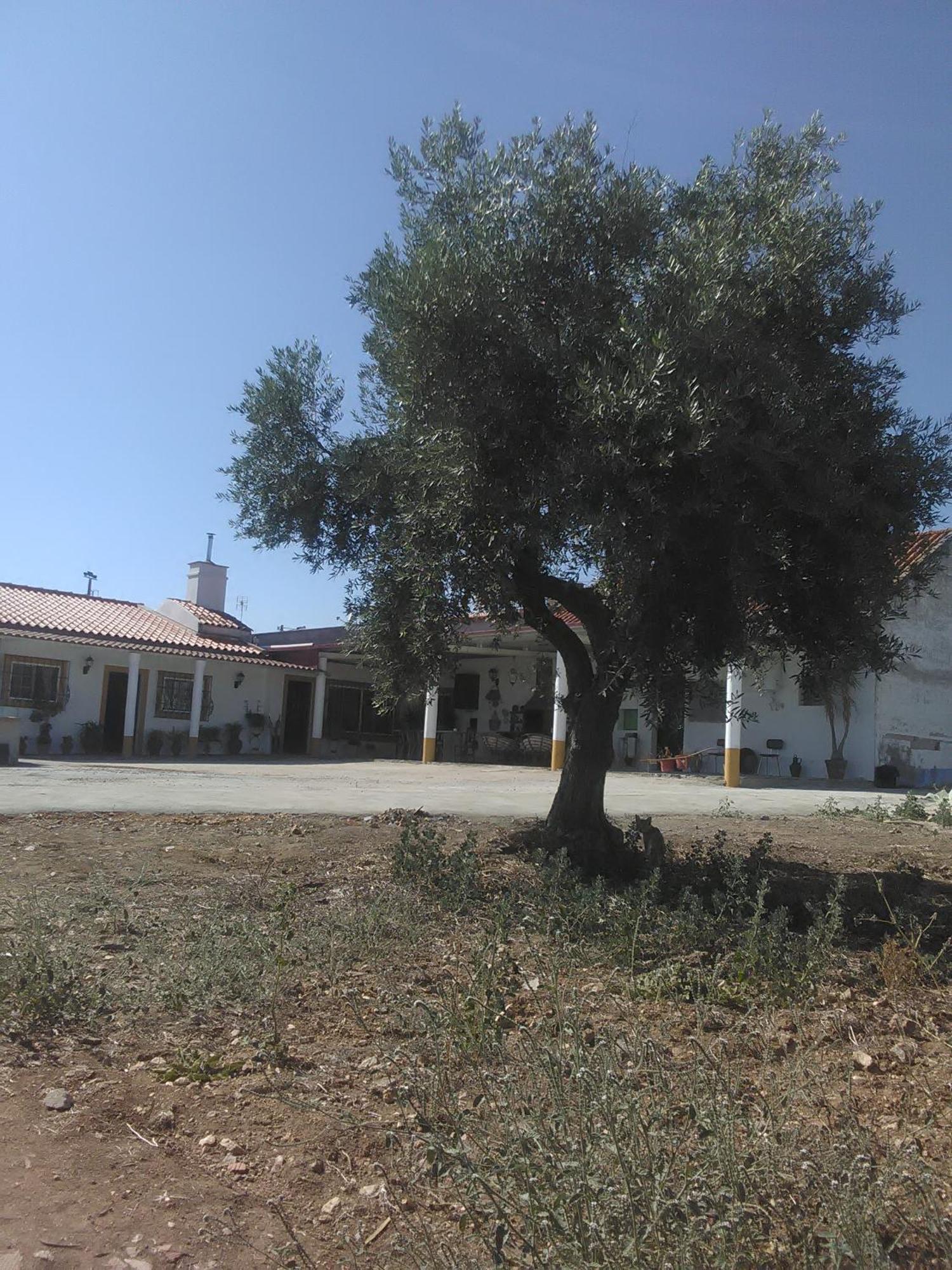 Villa Quintinha Dos Pombinhos Montoito Esterno foto