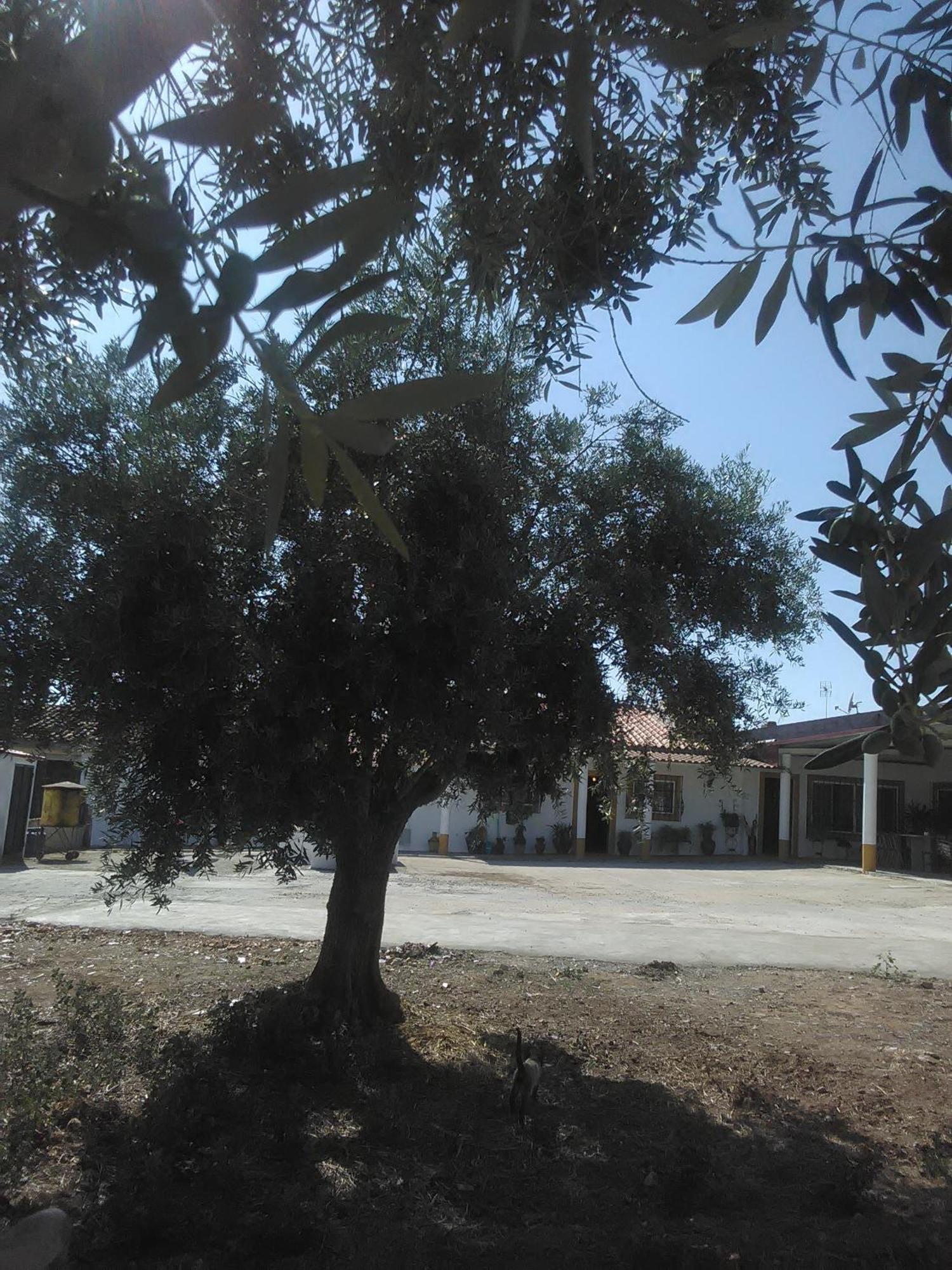 Villa Quintinha Dos Pombinhos Montoito Esterno foto